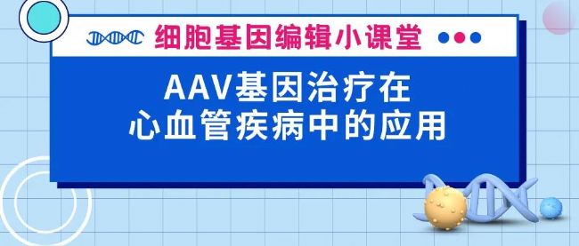 AAV基因治疗