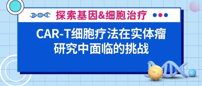 CAR-T细胞疗法