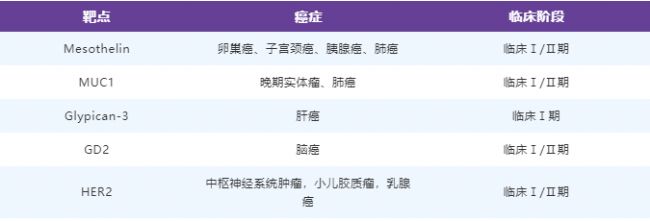 CAR-T细胞疗法