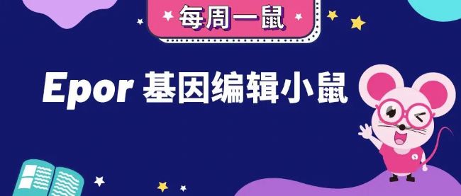 EPOR基因