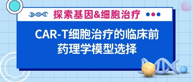 CAR-T细胞治疗