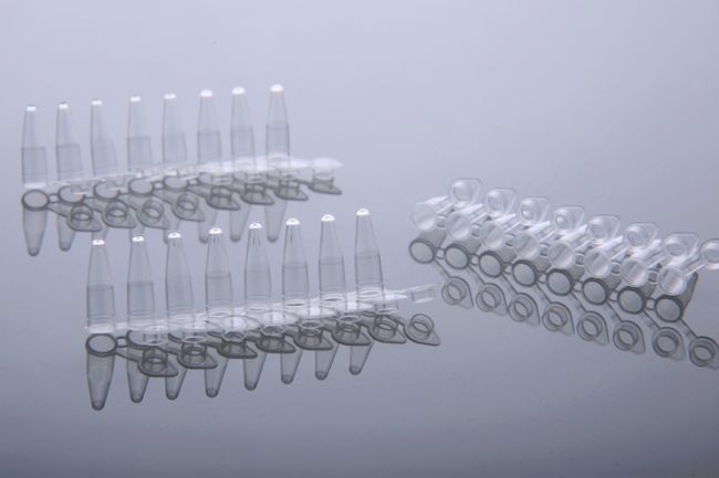 PCR���