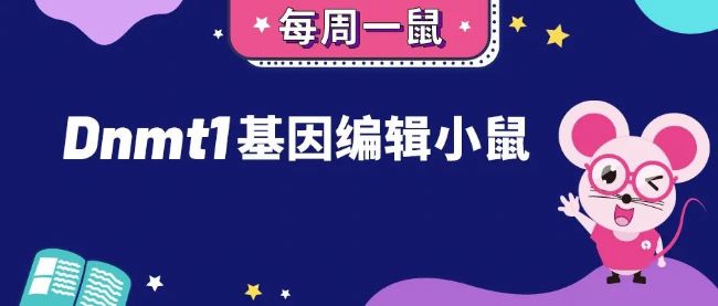 封面1.jpg