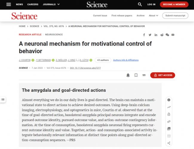 Science����-Inscopix��ʾĿ�굼����Ϊ�������Ԫ����-�ϲ�����