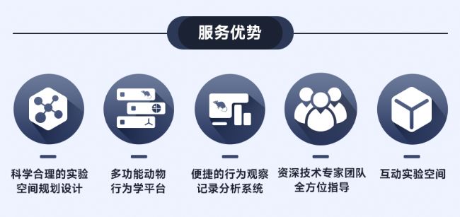 大小鼠行为学解决方案7折上新