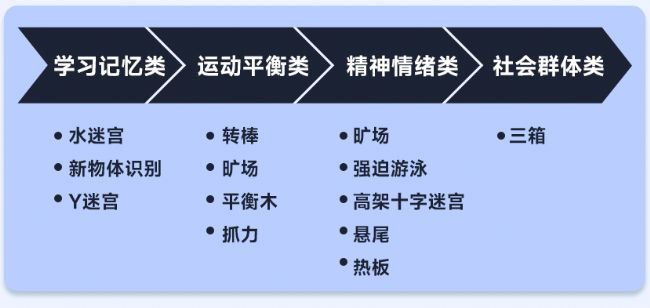大小鼠行为学解决方案7折上新