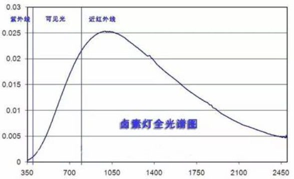 陈皮4.png