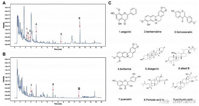 ͼ3. ����ЧҺ��ɫ�״�������(UHPLC-MS/MS)����FSGDˮ��ȡ����Һ