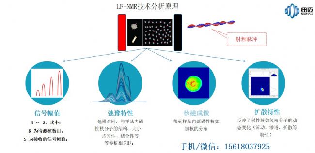 低场核磁共振技术与应用概述