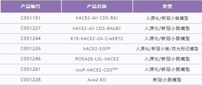 小鼠模型的选择与研究应用