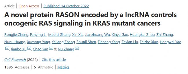 KRAS突变癌症的潜在治疗靶点