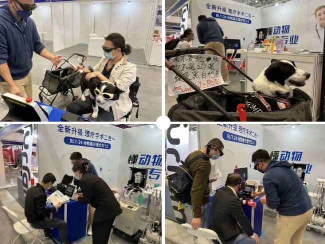QQ截图20221110140834.png