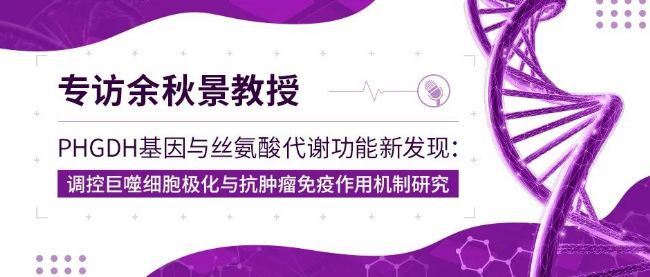 PHGDH基因与丝氨酸代谢功能新发现