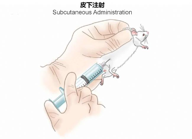 神经疾病CRO