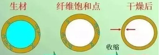 木材吸着水研究(低场核磁共振技术)