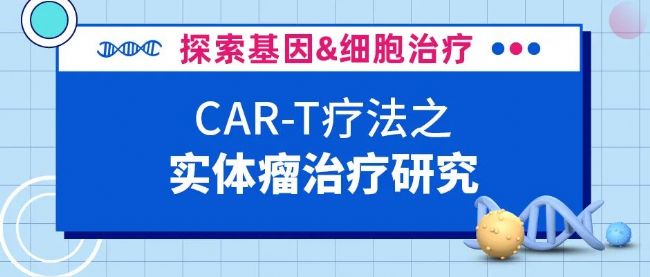 CAR-Tϸ���Ʒ���ʵ�����о�