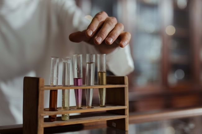 嘌哈受体影响巨噬细胞的内毒素生物学活性