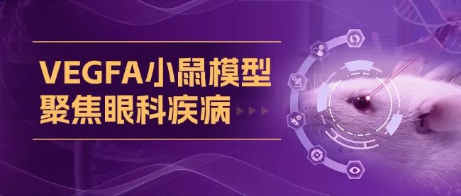 VEGFA小鼠模型
