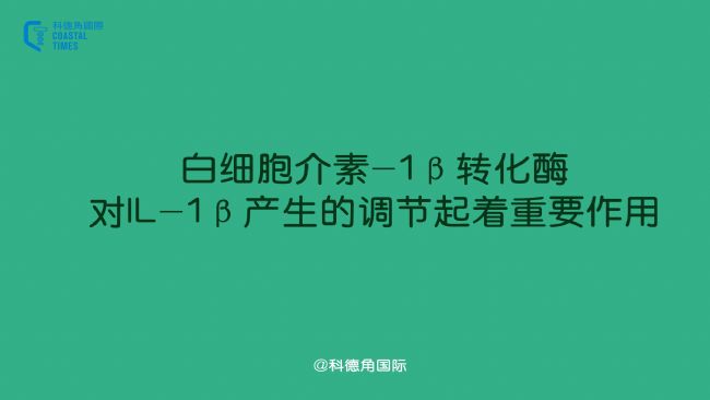 白细胞介素-1β转化酶对IL-1β产生的调节起着重要作用