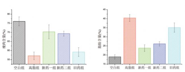 【不发】肥胖小鼠脂肪代谢检测-低场核磁体成分分析技术