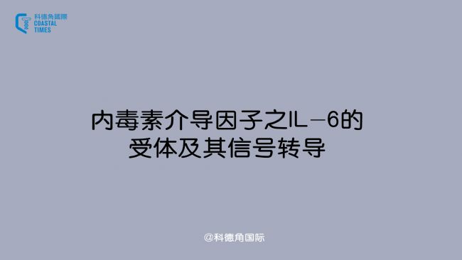 内毒素介导因子之IL-6的受体及其信号转导