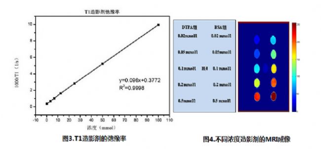 造影剂在磁共振成像的原理及应用