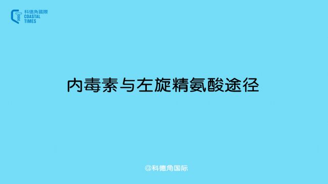 内毒素与左旋精氨酸途径