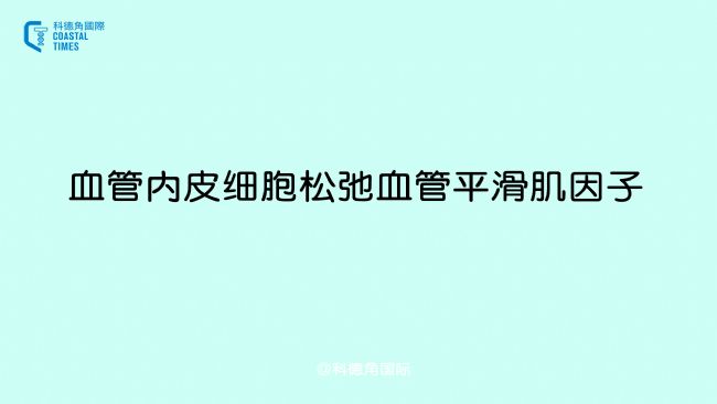 血管内皮细胞松弛血管平滑肌因子