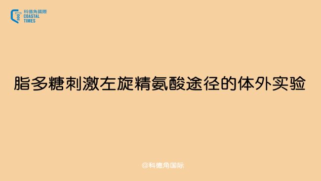 脂多糖刺激左旋精氨酸途径的体外实验