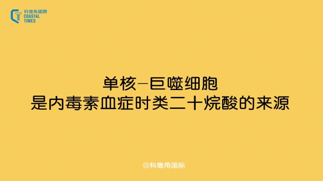 ����-����ϸ�����ڶ���Ѫ֢ʱ���ʮ�������Դ