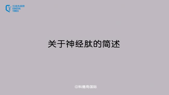 关于神经肽的简述