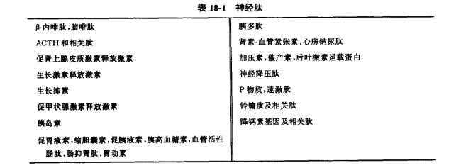 关于神经肽的简述