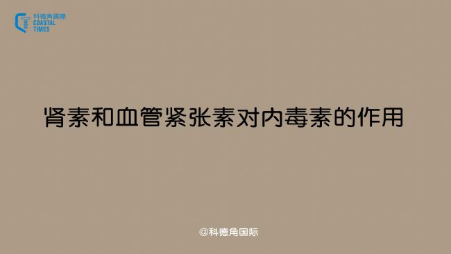 肾素和血管紧张素对内毒素的作用