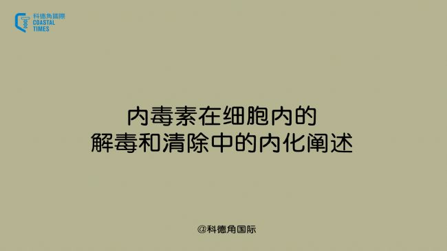 内毒素在细胞内的解毒和清除中的内化阐述