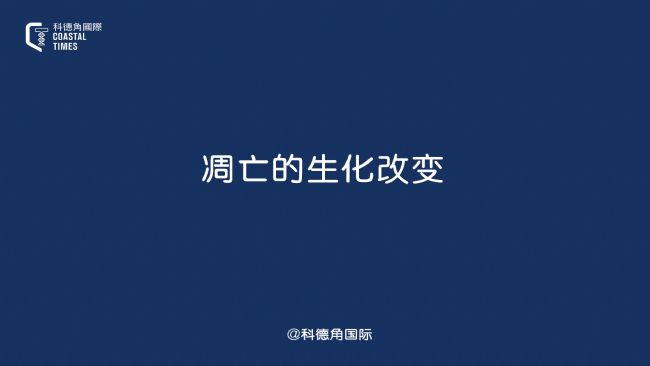 凋亡的生化改变