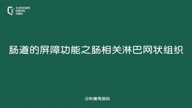 肠道的屏障功能之肠相关淋巴网状组织