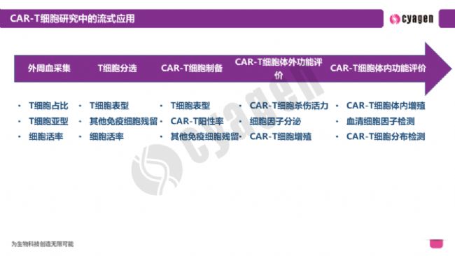 ��ʽϸ������CAR-Tϸ������ҩ�￪����Ӧ��