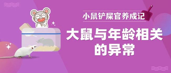 大鼠与年龄相关的异常