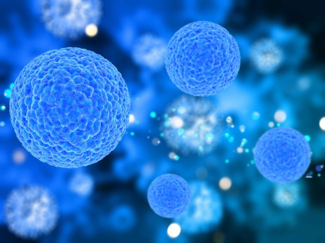 内毒素的发现与起源(二):生物领域的关注焦点