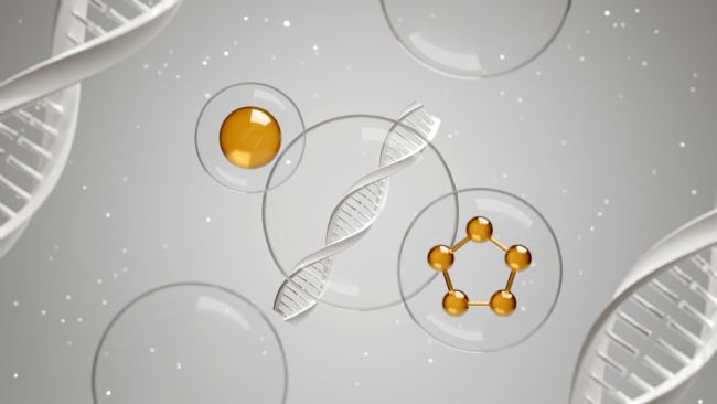 Lipid A与一般磷脂分子在结构上有什么差别?