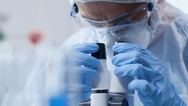 LPS的稳定性和化学分解