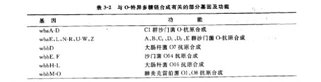 内毒素分子的跨膜转运和O-特异多糖链合成的遗传学研究