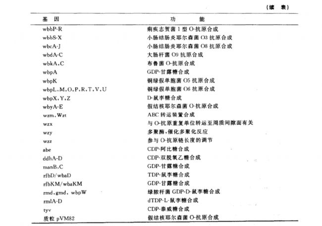 内毒素分子的跨膜转运和O-特异多糖链合成的遗传学研究