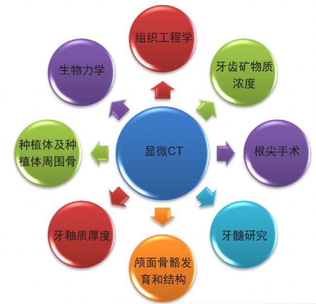 显微 CT 在牙科中的应用