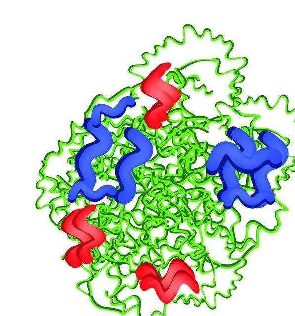 逐典重组胰蛋白酶消化液 — 细胞解离更优选择_生物器材网