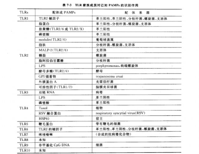 免疫机制的多样性与TLR4在LPS识别中的关键作用