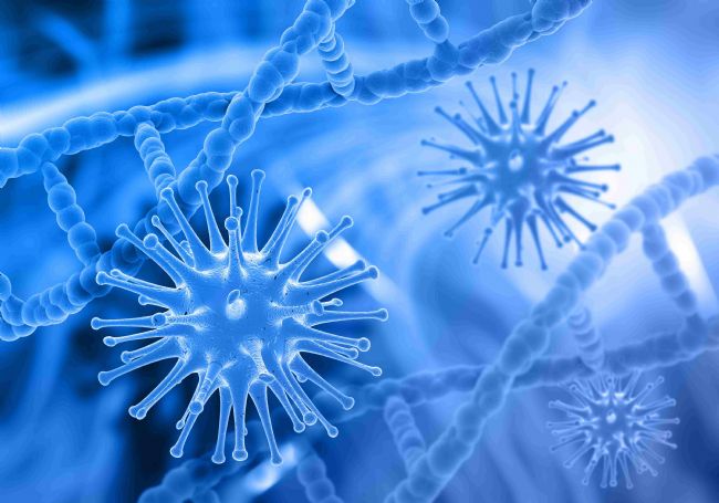 TLR2在微生物识别中的角色:革兰阳性菌、脂蛋白及LPS的受体分析