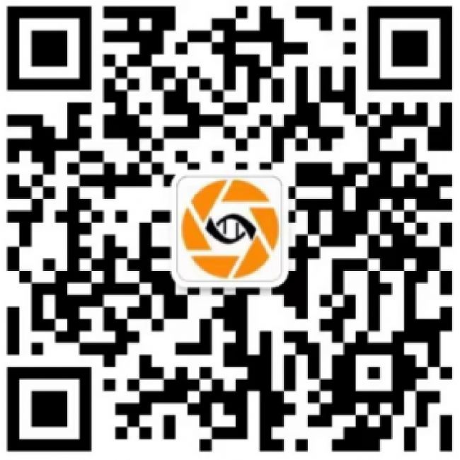干货7.webp