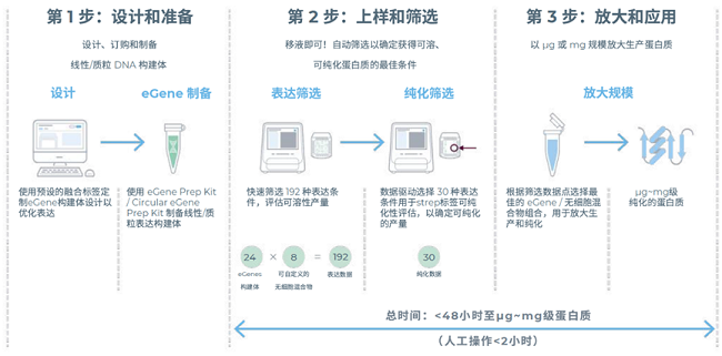 可溶性蛋白工作流程