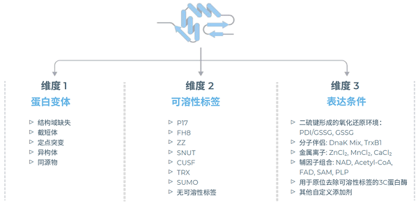 无细胞蛋白表达系统多重筛选不同表达组合